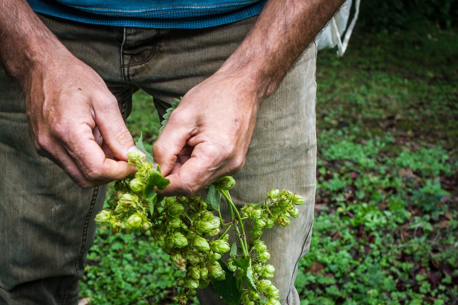 Craft Gin Distilleries