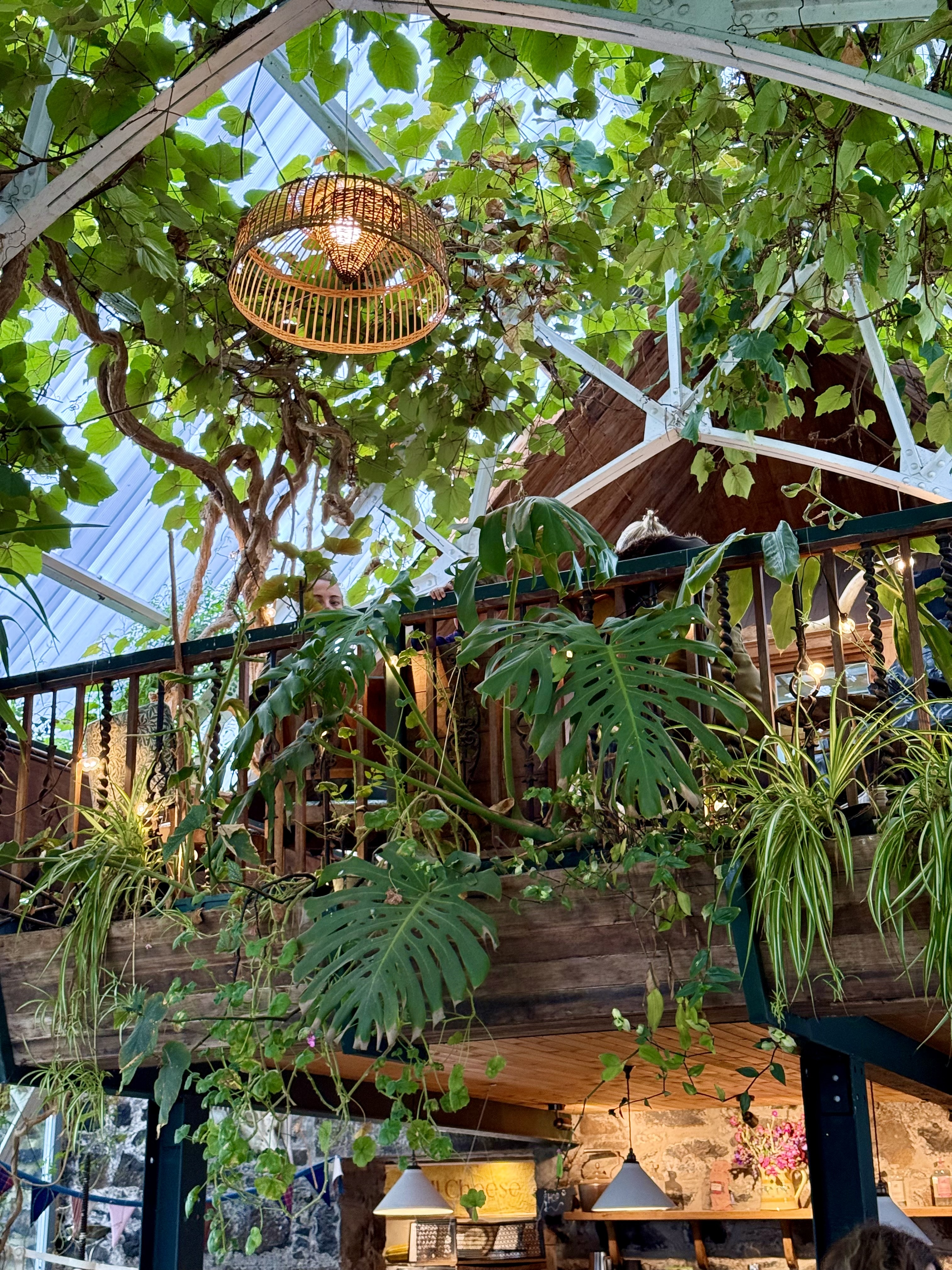 Glass Barn Cafe